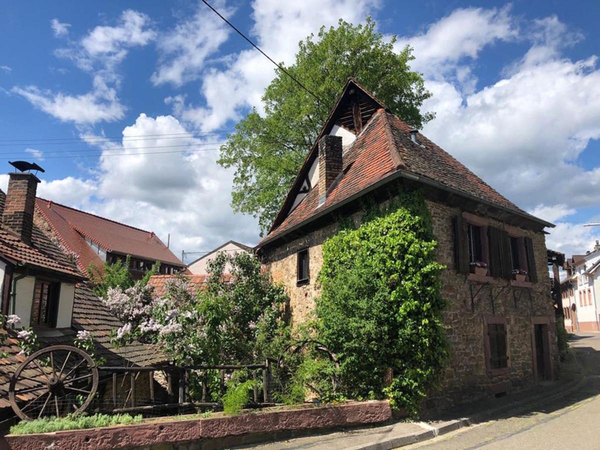 1463 Apartmenthaus Karlsruhe Eksteriør bilde